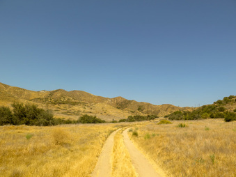 Enlarge photo 72
