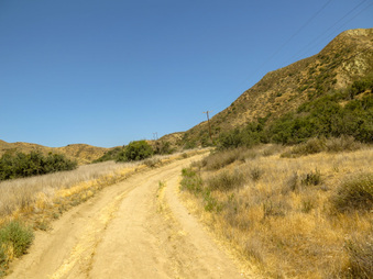 Enlarge photo 74