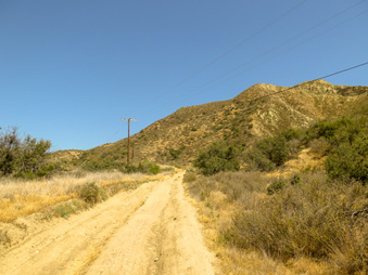 Enlarge photo 75