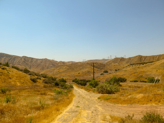 Enlarge photo 76