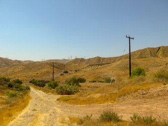Enlarge photo 78