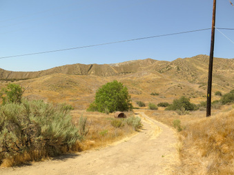 Enlarge photo 77