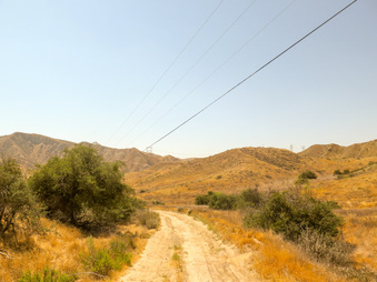 Enlarge photo 79