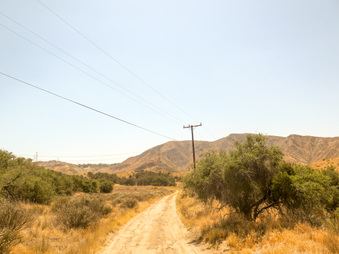 Enlarge photo 80