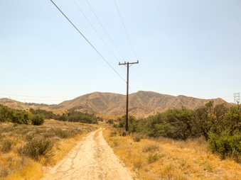 Enlarge photo 81