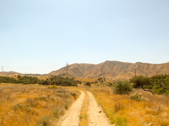 Enlarge photo 83