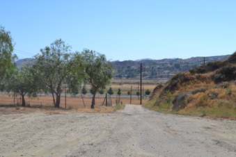 Enlarge photo 11
