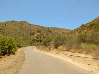 Enlarge photo 14