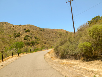 Enlarge photo 15