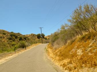 Enlarge photo 16