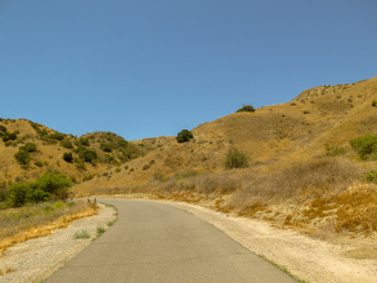 Enlarge photo 20