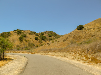 Enlarge photo 21