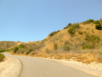Enlarge photo 22