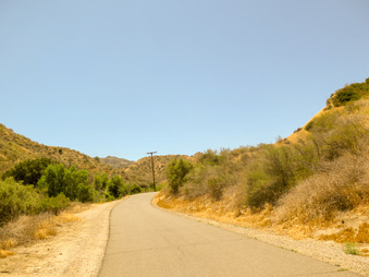 Enlarge photo 23