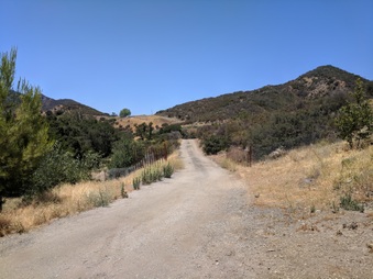 Enlarge photo 6