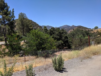 Enlarge photo 8