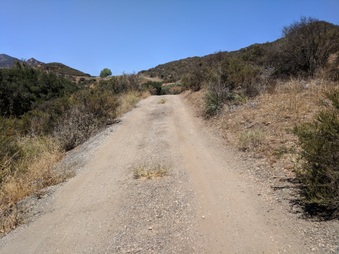 Enlarge photo 11