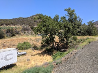 Enlarge photo 19