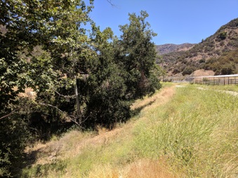 Enlarge photo 30