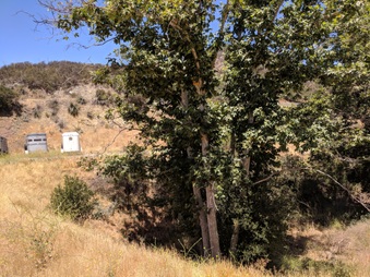 Enlarge photo 31