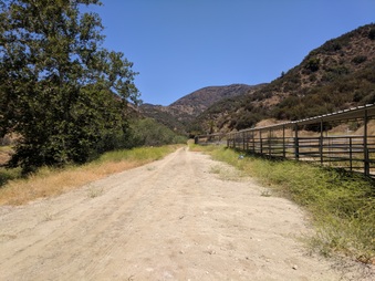 Enlarge photo 32