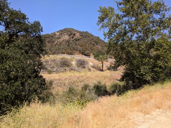 Enlarge photo 33