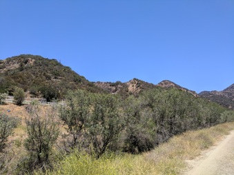 Enlarge photo 36