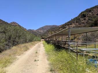 Enlarge photo 38