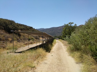 Enlarge photo 46