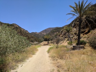Enlarge photo 48