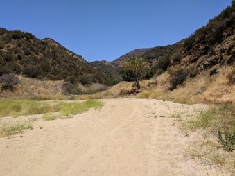 Enlarge photo 49