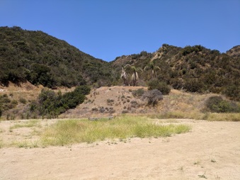 Enlarge photo 51