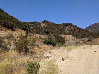Enlarge photo 67