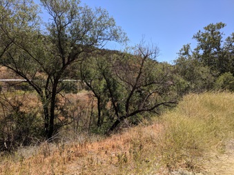 Enlarge photo 69