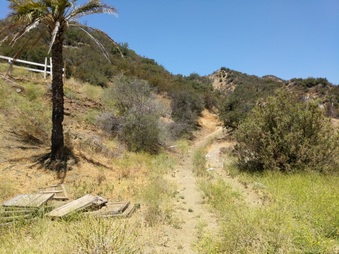 Enlarge photo 72