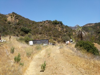 Enlarge photo 81