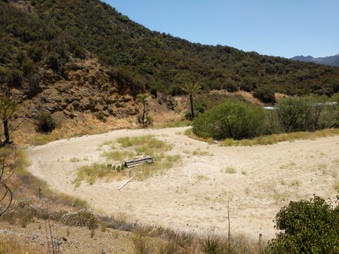 Enlarge photo 90