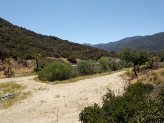 Enlarge photo 91