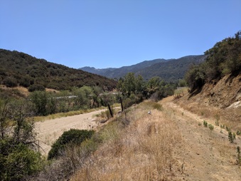 Enlarge photo 92
