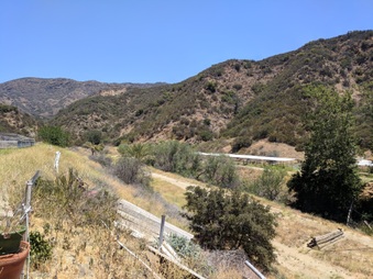 Enlarge photo 99