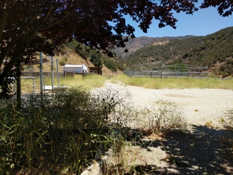 Enlarge photo 113