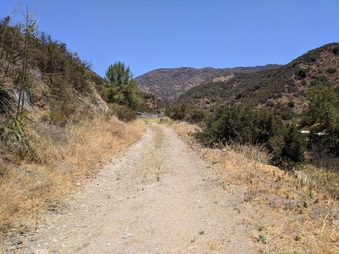 Enlarge photo 119