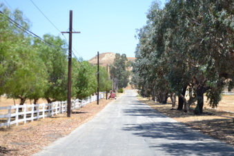 Enlarge photo 3