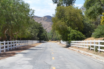 Enlarge photo 2