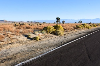 Enlarge photo 21