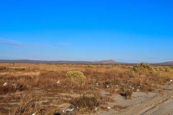 Enlarge photo 26