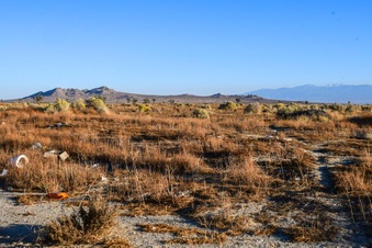 Enlarge photo 27