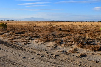 Enlarge photo 29