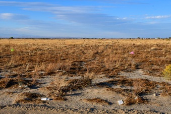 Enlarge photo 30