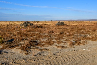 Enlarge photo 31